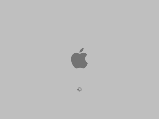 Apple logo on startup screen