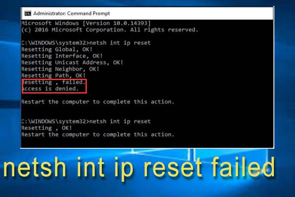 Open Command Prompt by pressing Windows Key + R, typing cmd and pressing Enter.
Type netsh int ip reset and press Enter.